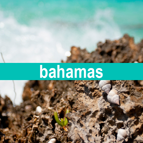 bahamas-500-photos