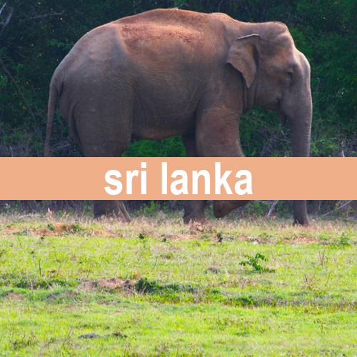 sri-lanka-500-photos
